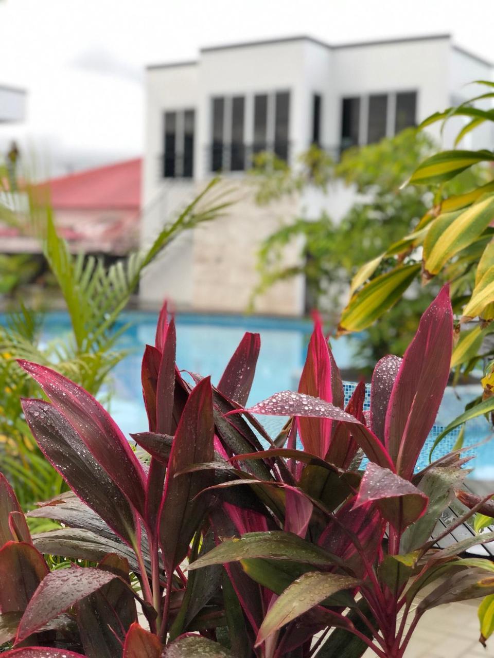 Tucan Resort & Spa Paramaribo Exteriör bild